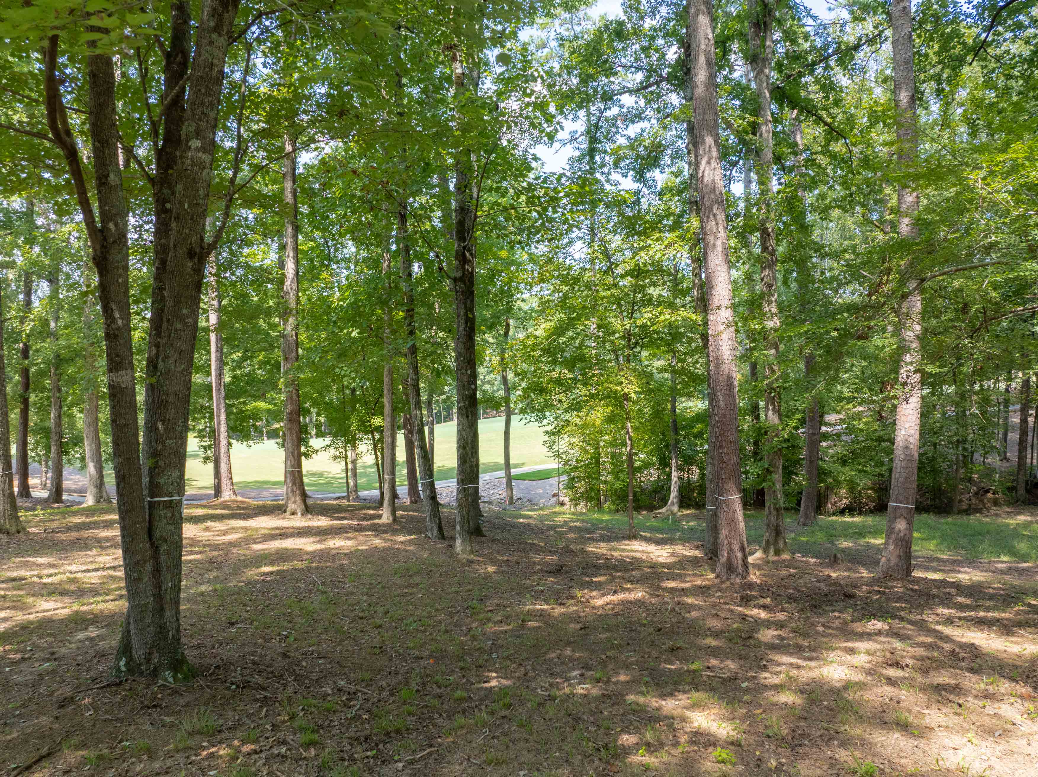 1021 Branson Bluff image 6